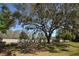 Expansive backyard featuring a mature shade tree and a privacy fence at 6620 Lake Clark Dr, Lakeland, FL 33813
