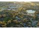 Overhead image of a community with mature trees surrounding a pond and school at 7010 Parliament Pl, Lakeland, FL 33809