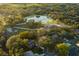 Aerial view showcasing a lush, green neighborhood and a serene pond at 7010 Parliament Pl, Lakeland, FL 33809