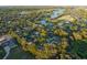 Breathtaking aerial view of a neighborhood with many trees and a peaceful lake at 7010 Parliament Pl, Lakeland, FL 33809