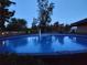 Above-ground pool with built-in fountain and surrounding landscaping and fence at 27836 Lois Dr, Tavares, FL 32778