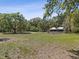 Expansive green property featuring mature trees and a charming home in the distance at 4410 Rushing Rd, Lakeland, FL 33810