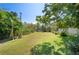 Expansive backyard with lush green grass, mature trees, and a shed with a bright blue sky above at 4908 S Bedford Ln, Lakeland, FL 33813