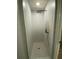 Modern shower featuring a large, rainfall showerhead and penny tile floor at 692 Augusta Rd, Winter Haven, FL 33884