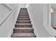 Carpeted staircase with white trim and walls leading to the upper level of the home at 3919 Vista Trace Way, Lakeland, FL 33810