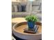 Close-up of decorative plant on a wooden table in the living room at 6472 Evergreen Park Dr, Lakeland, FL 33813