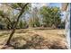 This expansive backyard has mature trees and greenery at 1028 W Marjorie St, Lakeland, FL 33815