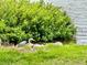 Yard and water view with bird at 302 Luna Rd, Auburndale, FL 33823