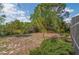 Lush backyard with tropical landscaping and room to relax and play at 307 Balmoral Ct, Davenport, FL 33896