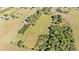 Aerial photo showing large grassy plots in the neighborhood with scattered mature trees, fenced lines, and interspersed homes at 6981 Snell Rd, Bartow, FL 33830