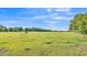 A picturesque view of a horse peacefully grazing in a wide-open, grassy field under a clear sky at 6981 Snell Rd, Bartow, FL 33830