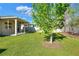 View of the backyard showing the covered patio, expansive lawn, and perimeter fence at 7445 Ibis Dr, Lakeland, FL 33810