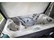 This is an open view of a hot tub, showing its many jets at 811 W Heron Pl, Winter Haven, FL 33884