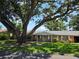 Charming brick home with mature shade tree, beautiful landscaping, and a welcoming front entrance at 1528 Hallam S Ct, Lakeland, FL 33813
