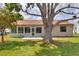 Great backyard featuring large trees, a back porch, and a concrete patio at 1010 Penguin Pl, Lakeland, FL 33809