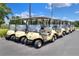 A row of parked golf carts, ideal for enjoying a round of golf on the course at 1010 Penguin Pl, Lakeland, FL 33809