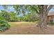 Large, green backyard featuring a mature tree and established landscaping at 1205 Scottsland Dr, Lakeland, FL 33813