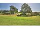 Spacious backyard with lush green grass and distant views at 2836 Magnolia Ave, Lakeland, FL 33812