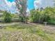 Large grassy backyard features mature trees and plenty of room for outdoor activities at 407 Ne 8Th St, Mulberry, FL 33860