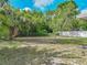 Expansive backyard with chain link fence and lush trees surrounding property at 407 Ne 8Th St, Mulberry, FL 33860