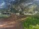 This large backyard is shaded by large mature trees and lush greenery providing a secluded outdoor space at 5248 Rock Dove Trl, Lakeland, FL 33810