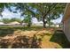 Spacious backyard featuring mature trees and a partially fenced-in yard at 6625 Thornhill Rd, Winter Haven, FL 33880