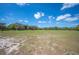 Expansive grassy field under a blue sky, perfect for livestock or recreational use at 8337 Fussell Rd, Polk City, FL 33868