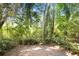 Lush backyard featuring mature trees and green foliage perfect for outdoor enjoyment at 8838 Coral Palms Ct # A, Kissimmee, FL 34747