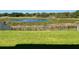 A spacious backyard with a black metal fence overlooks a scenic pond at 1280 Denali Dr, Winter Haven, FL 33880
