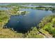 Stunning aerial view of a lake with lush greenery and beautiful waterfront homes at 13137 Lake Butler Blvd, Windermere, FL 34786
