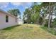 View of the green backyard with a new house, and a freshly planted tree at 1890 Martin Luther King, Jr. E Blvd, Bartow, FL 33830