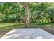 The backyard features a lush green lawn and mature trees providing ample shade and a concrete patio at 2400 Avenue D Sw, Winter Haven, FL 33880