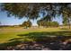 Enjoy a golf course view with lush greenery and mature trees at 697 Broadmoor Cir, Winter Haven, FL 33884