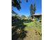 Expansive backyard with lush green grass, mature trees, and outdoor seating area, perfect for relaxation and entertainment at 7818 Lewis Rd, Lakeland, FL 33810