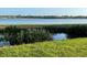 Beautiful backyard view of a peaceful lake at 822 W Patterson St, Lakeland, FL 33803