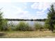 Scenic lake view with lush trees surrounding, under a blue sky with scattered clouds at 934 Lake Elbert Se Dr, Winter Haven, FL 33880