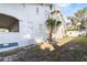 Side of the house featuring a palm tree, multiple windows, and partial view of the side yard at 934 Lake Elbert Se Dr, Winter Haven, FL 33880