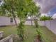 Backyard with trees and a white fence along the property line at 2033 Normandy Heights Dr, Winter Haven, FL 33880