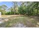 Expansive lot featuring mature trees and a sprawling grassy area, perfect for outdoor activities and enjoying nature at 7011 Tall Pine Rd, Polk City, FL 33868