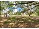 Expansive yard featuring mature trees, a shed, and ample open space at 2115 W Pipkin Rd, Lakeland, FL 33811