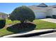 Landscaped front yard with mature landscaping including a rounded tree, a well-maintained lawn, and a driveway at 2820 Prestwick Dr, Lakeland, FL 33803