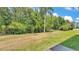 Spacious backyard showcasing lush greenery and mature trees offering ample space for outdoor activities at 3252 Bellflower Way, Lakeland, FL 33811