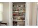 Organized pantry featuring shelving, providing ample storage space for food and household goods at 3359 Sanoma Dr, Lakeland, FL 33811