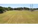 Expansive green field, ideal for development or recreational use with scattered trees and powerlines at 5201 Dorman Rd, Lakeland, FL 33813