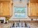 View of the kitchen sink with window view of the front yard and neighborhood at 737 Kensington St, Lakeland, FL 33803