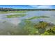 Beautiful lake view featuring a wooden dock and vibrant greenery under a clear blue sky at 1130 N Lake Parker Ave # C321, Lakeland, FL 33805