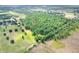 Lush aerial view showcasing the lot's beautiful green space and verdant trees at 14810 Brahma Rd, Polk City, FL 33868