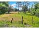 Spacious grassy lot with scattered trees offers a serene, pastoral setting and potential for development at 14810 Brahma Rd, Polk City, FL 33868