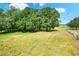 Lush green and tan grassy lot with mature trees, creating a peaceful setting and versatile space at 14810 Brahma Rd, Polk City, FL 33868