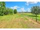 Expansive grassy lot, partially green, partially tan, with perimeter fencing and potential for outdoor activities at 14810 Brahma Rd, Polk City, FL 33868